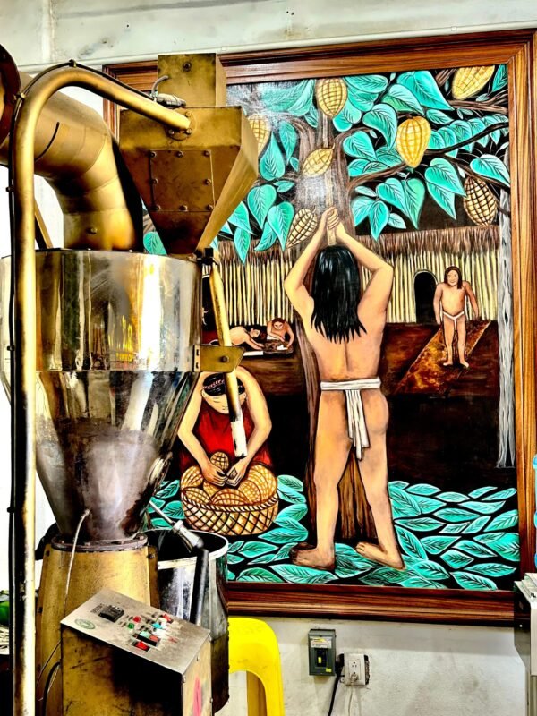 Tour Isla café & chocolate - Imagen 8